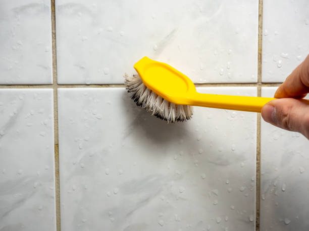 Best DIY Mold Remediation Support Services in Prces Lakes, IN