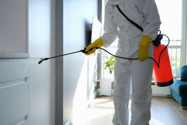 Best Industrial Mold Remediation in Prces Lakes, IN