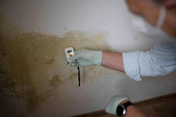 Best Crawl Space Mold Remediation in Prces Lakes, IN