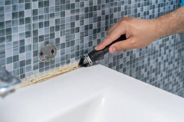 Best Bathroom Mold Remediation in Prces Lakes, IN